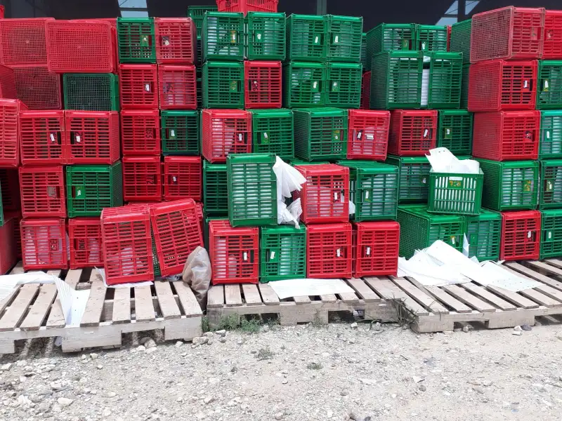 无人叉车在工厂物流中的高效调度与路径规划方案