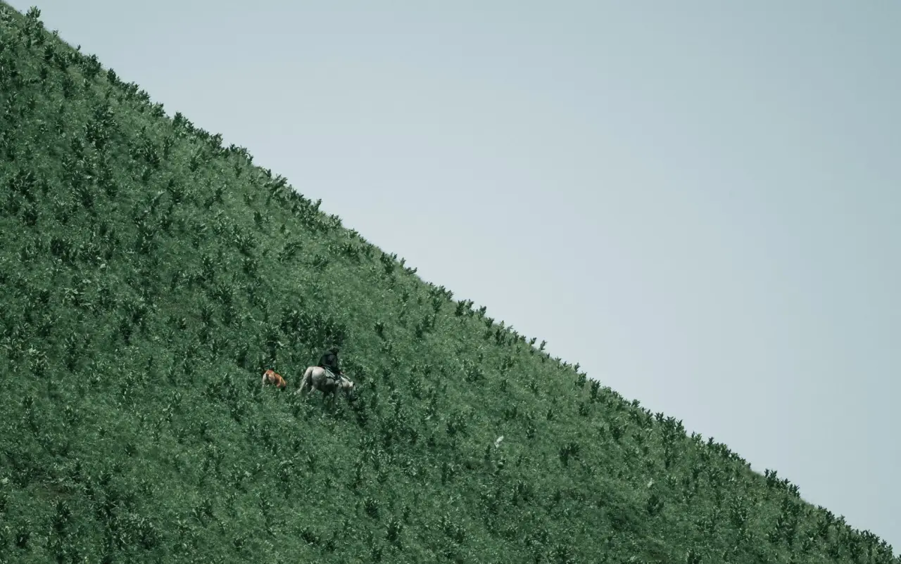 智能物流设备行业观察：无人叉车自主导航技术的应用现状与趋势